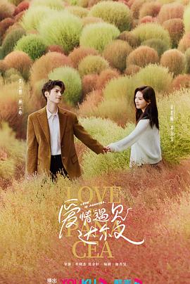 宁波网站优化搜索公司